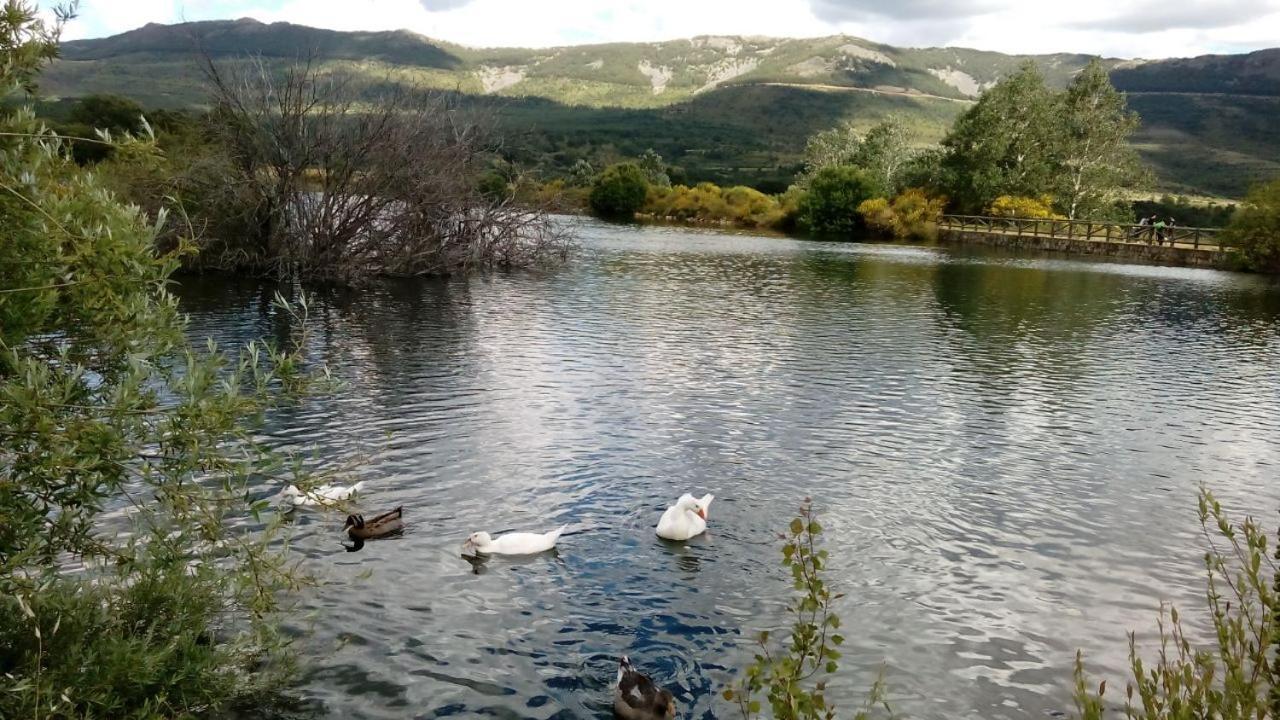 Al Viento, Alojamiento & Turismo Rural Pradena Del Rincon Buitenkant foto