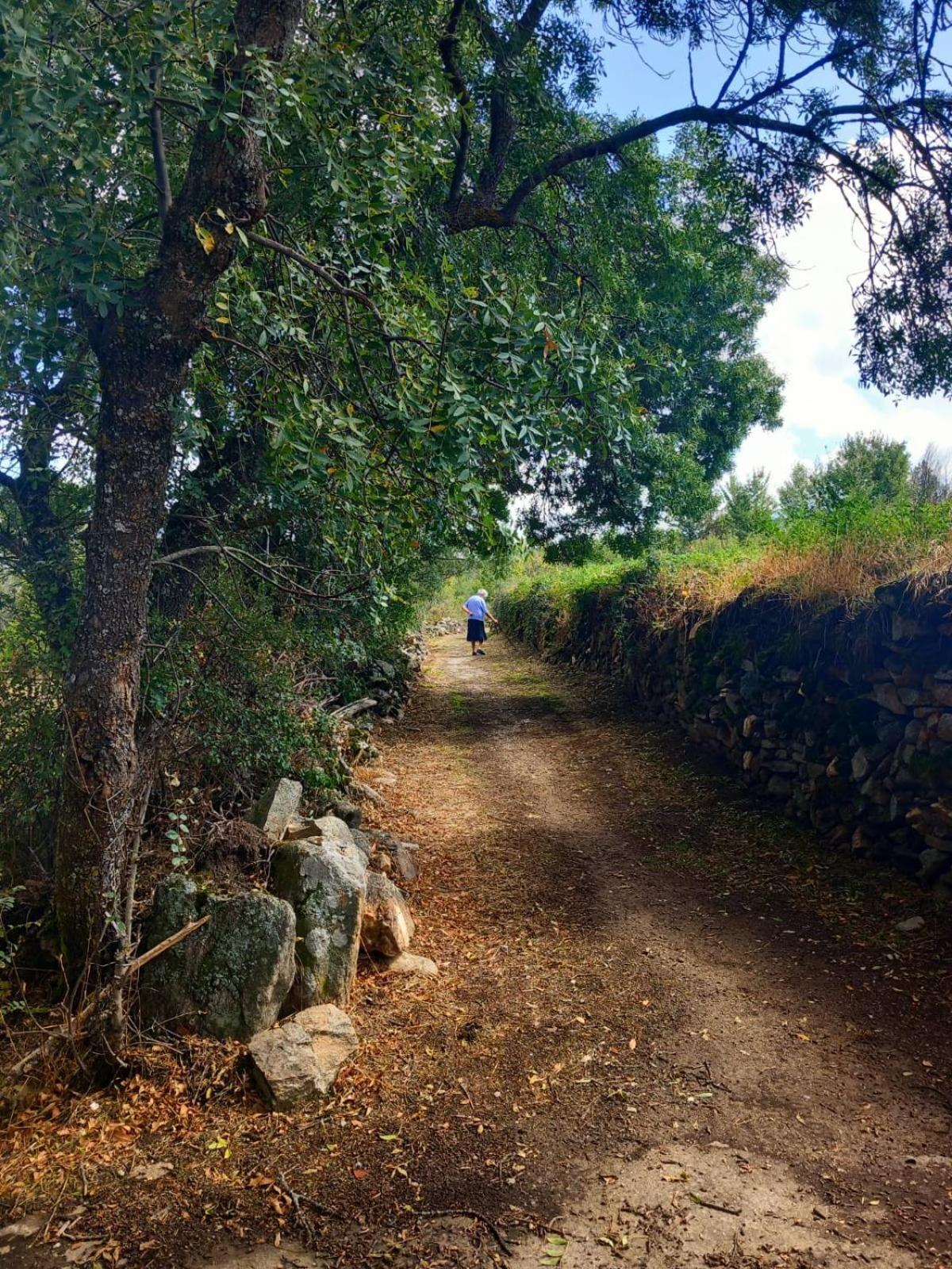 Al Viento, Alojamiento & Turismo Rural Pradena Del Rincon Buitenkant foto