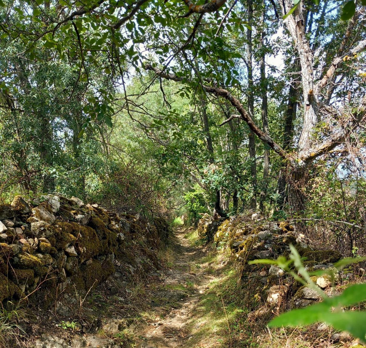 Al Viento, Alojamiento & Turismo Rural Pradena Del Rincon Buitenkant foto