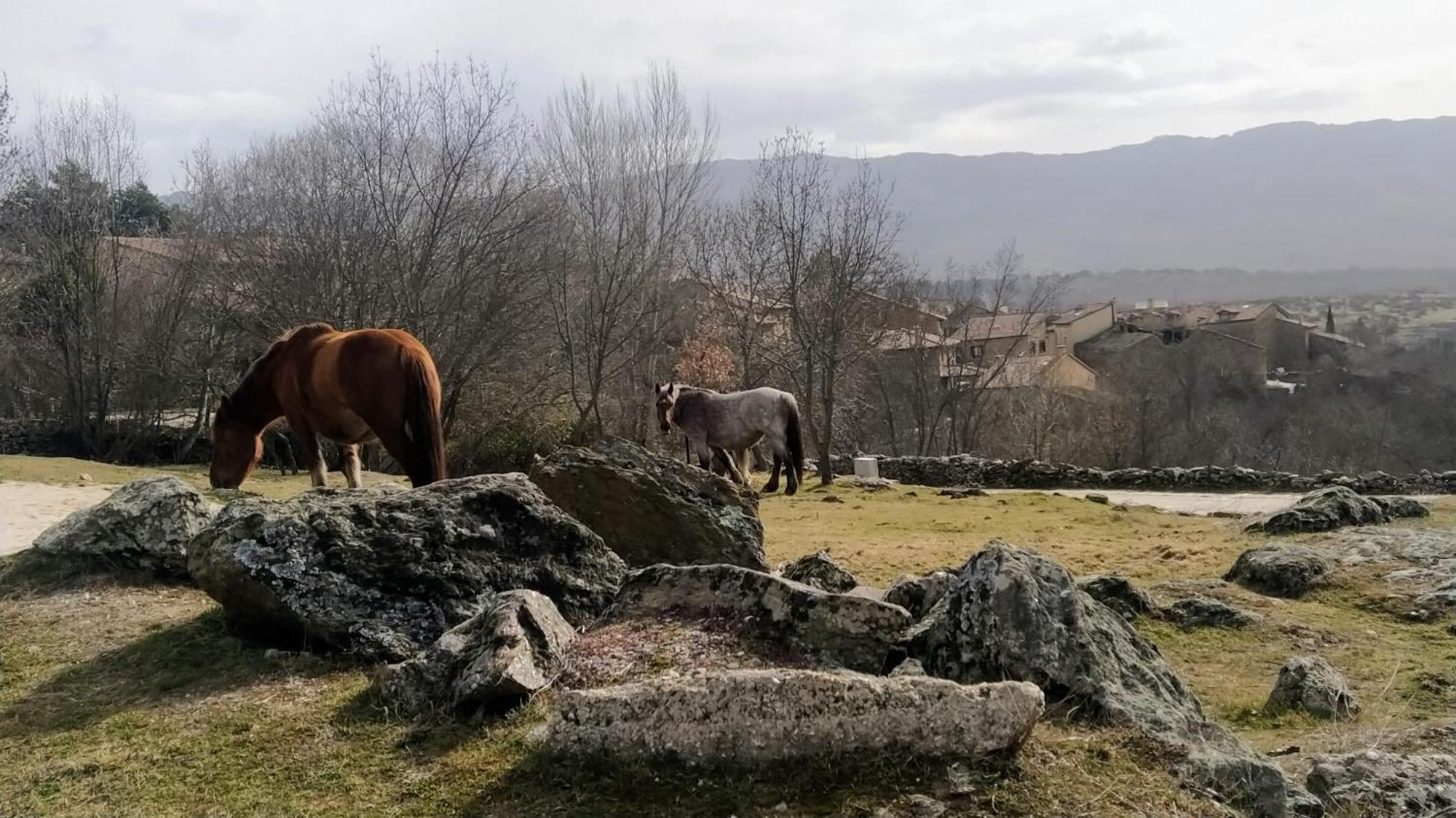 Al Viento, Alojamiento & Turismo Rural Pradena Del Rincon Buitenkant foto