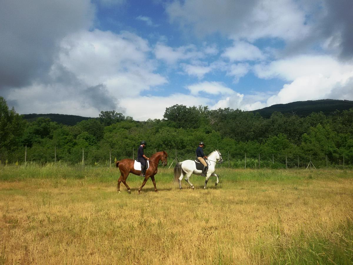 Al Viento, Alojamiento & Turismo Rural Pradena Del Rincon Buitenkant foto