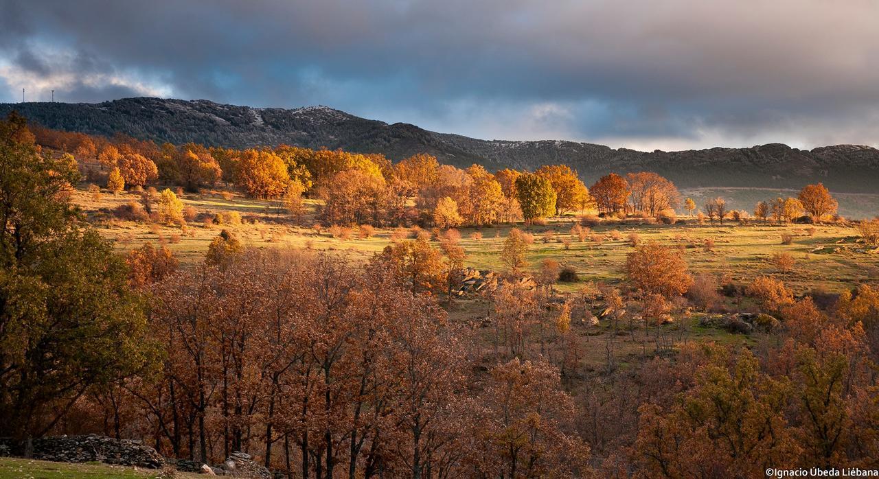 Al Viento, Alojamiento & Turismo Rural Pradena Del Rincon Buitenkant foto